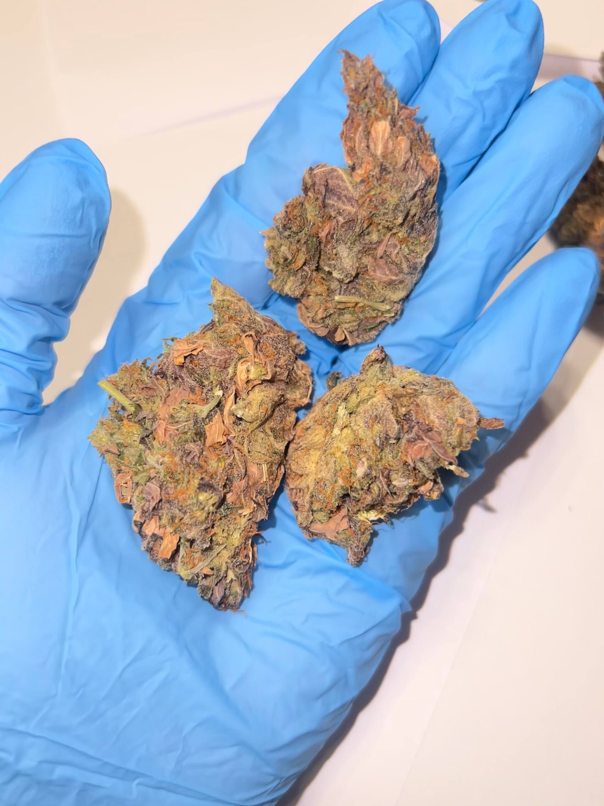 Bruce Banner 3