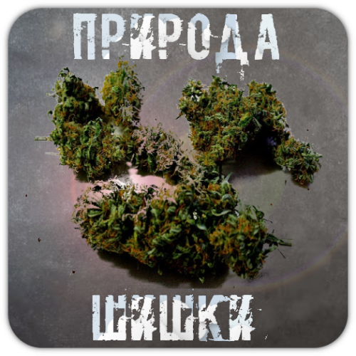 Гидропоника LSD