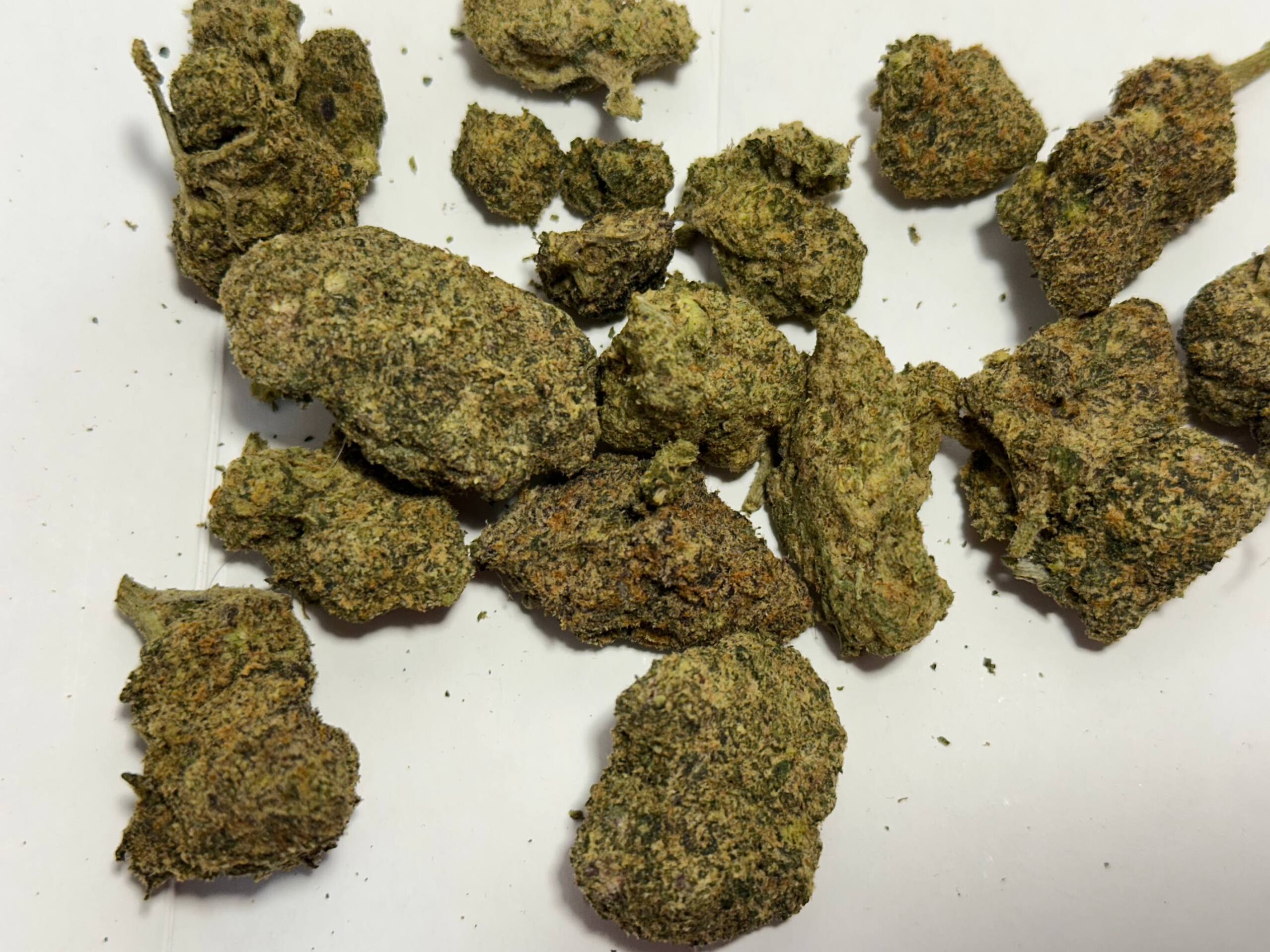 Bruce Banner