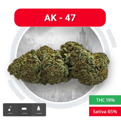 AK-47