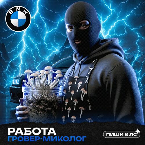 Гровер-Миколог ⭐⭐⭐⭐⭐