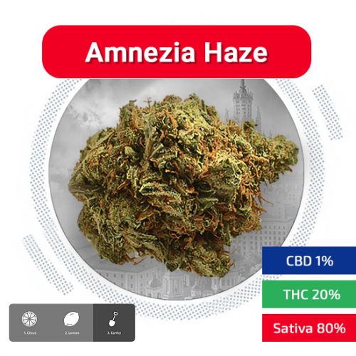 Amnesia Haze