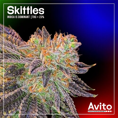Шишки Zkittlez VHQ