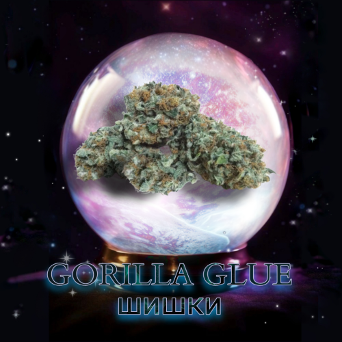 Шишки Gorilla Glue