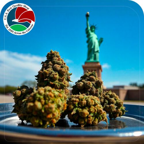 🔥Шишки Amnesia Haze