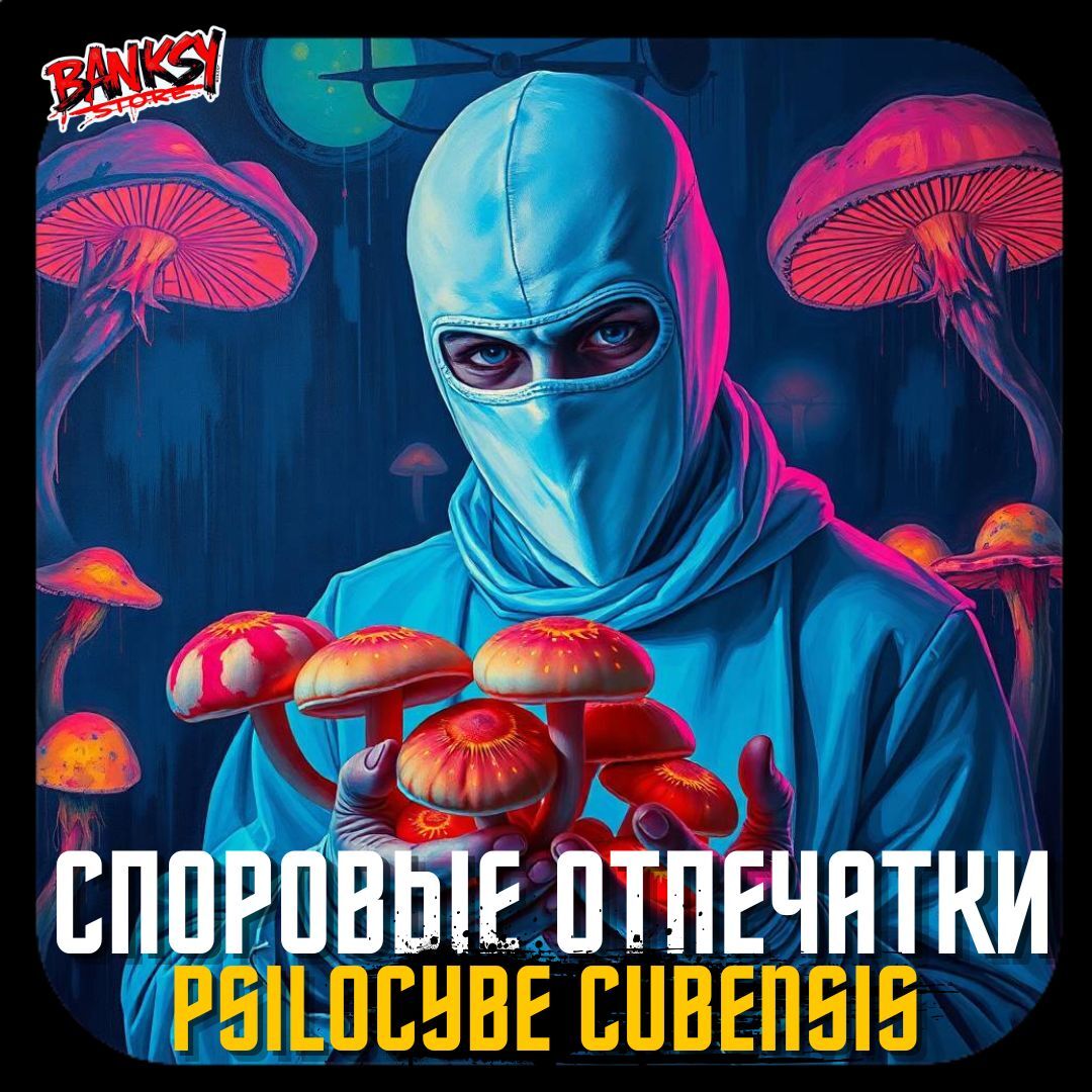 СПОРЫ| ОТПЕЧАТКИ 🍄